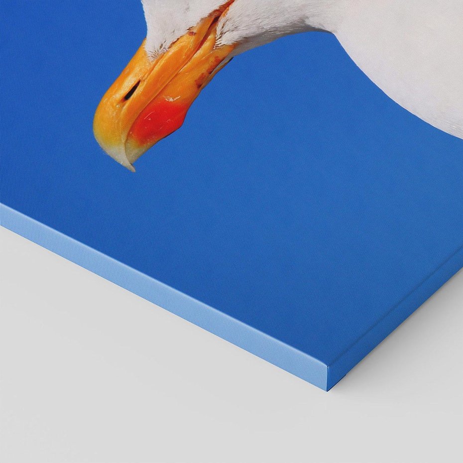 Obraz na płótnie 50x50 - Mewa nad morzem - mewa, pstak