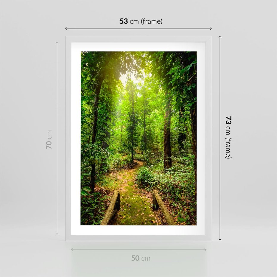 Plakat w ramie 50x70 - Współistnienie z naturą - drzewa, las - rama biała
