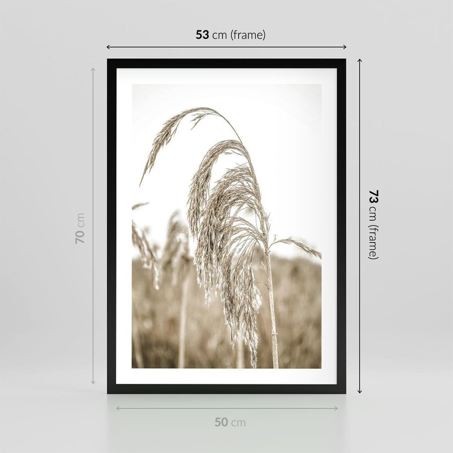 Plakat w ramie 50x70 - Ujęcie Suchych Traw - suche trawy, zbliżenie - rama czarna