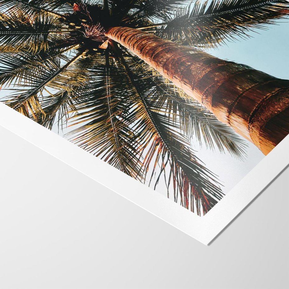 Plakat bez ramy 30x40 - Rajskie Inspiracje: Palma na Niebie - palma, na tle nieba