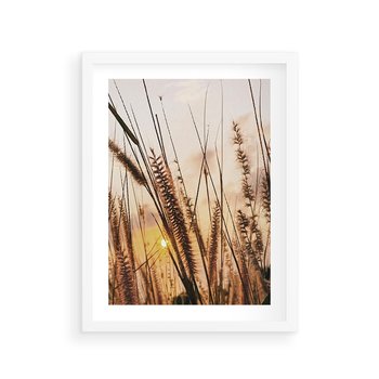 Plakat w ramie 40x50 - Malownicza Łąka z Trawam - trawy, łąka - rama biała