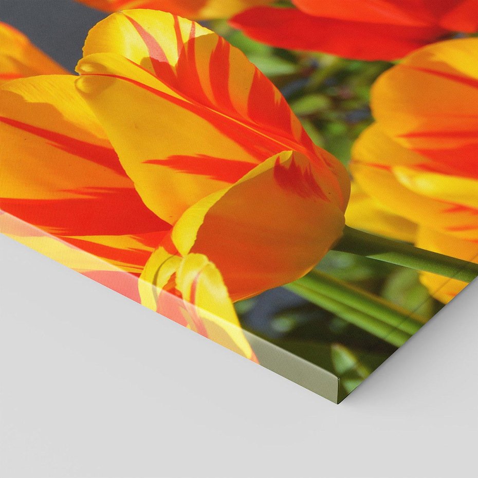 Obraz na płótnie 50x50 - Kwiatowa Harmonia - kwiaty, kwiat