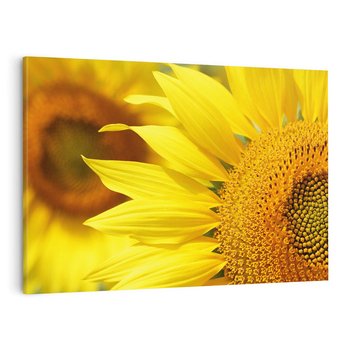 Obraz na płótnie 120x80 - Słoneczniki: Promień nadziei - słoneczniki, kwiaty