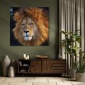 Obraz na płótnie 70x70 - Lew - Król Zwierząt - lew, zwierzęta