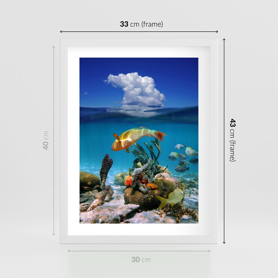 Plakat w ramie 30x40 - Podwodna rafa koralowa: kolorowy oceanowy świat - rafa, koralowa - rama biała