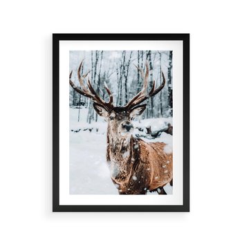 Plakat w ramie 30x40 - Jeleń na Zdjęciu pod Śniegiem - jeleń, zima - rama czarna