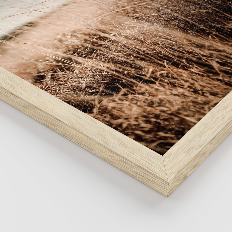 Zestaw obrazy w ramie 40x50 galeria - Latarnia, ścieżka, suche, trawy, boho, lato - rama drewno