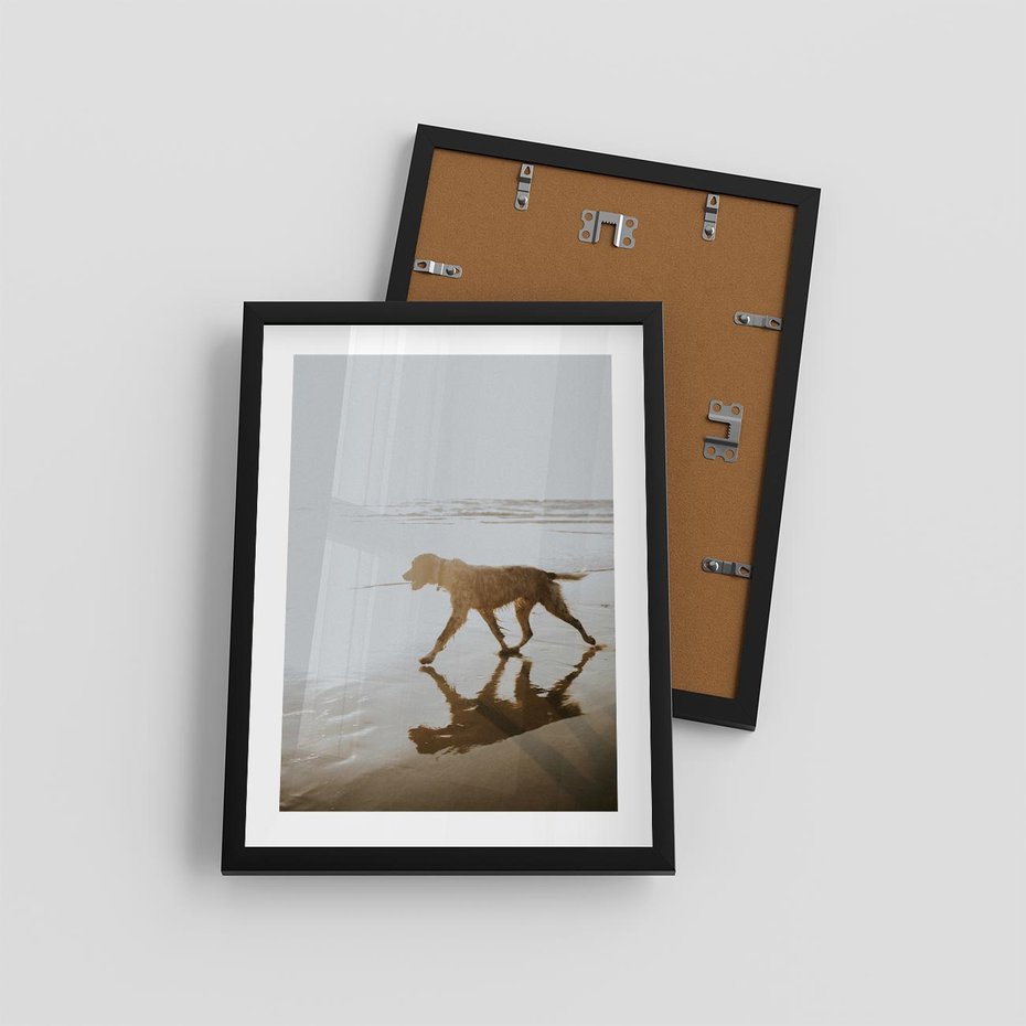 Plakat w ramie 30x40 - Przyjaciel na Plaży - pies, na plaży - rama czarna