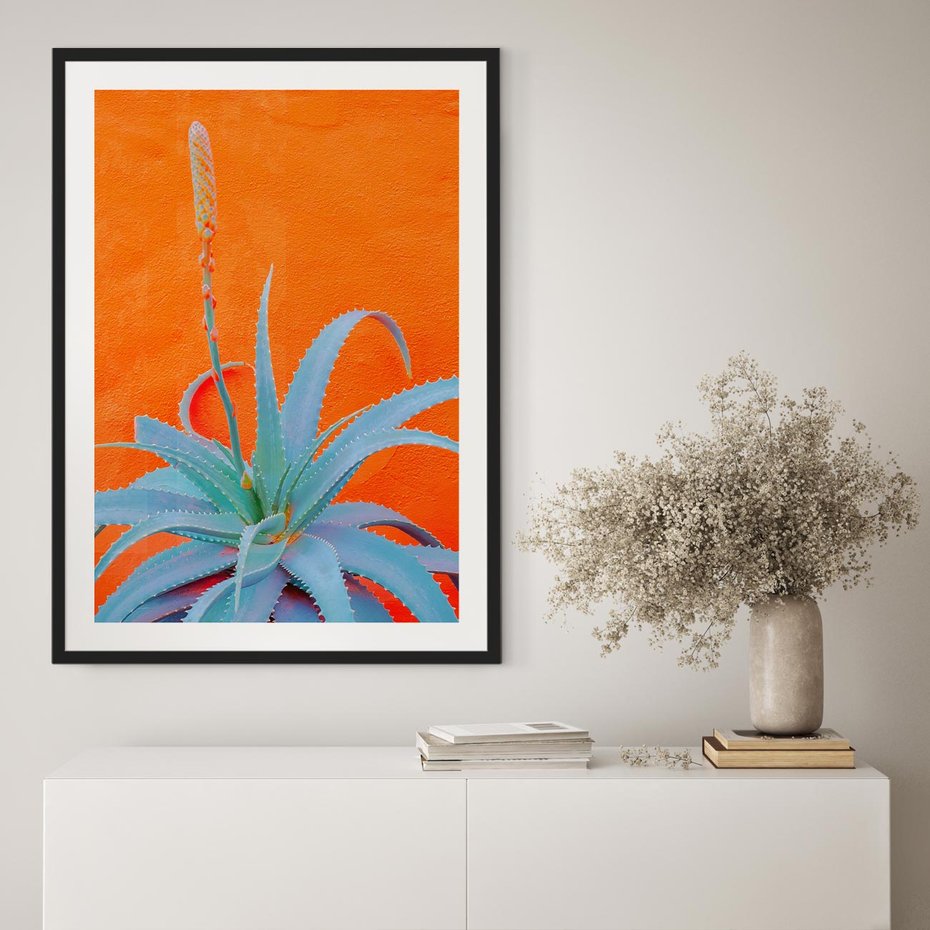 Plakat w ramie 30x40 - Naturalna Harmonia - kaktusy, liście - rama czarna