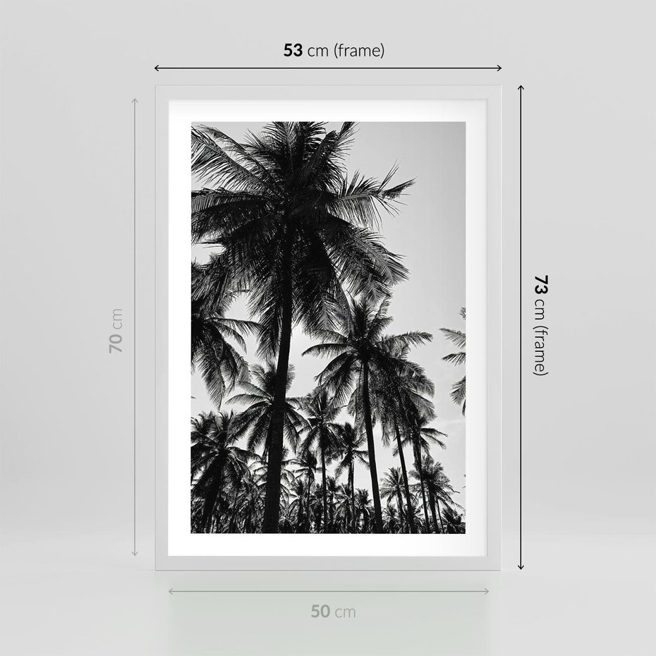 Plakat w ramie 50x70 - Mono Tropiki - palmy, drzewa palmowe - rama biała