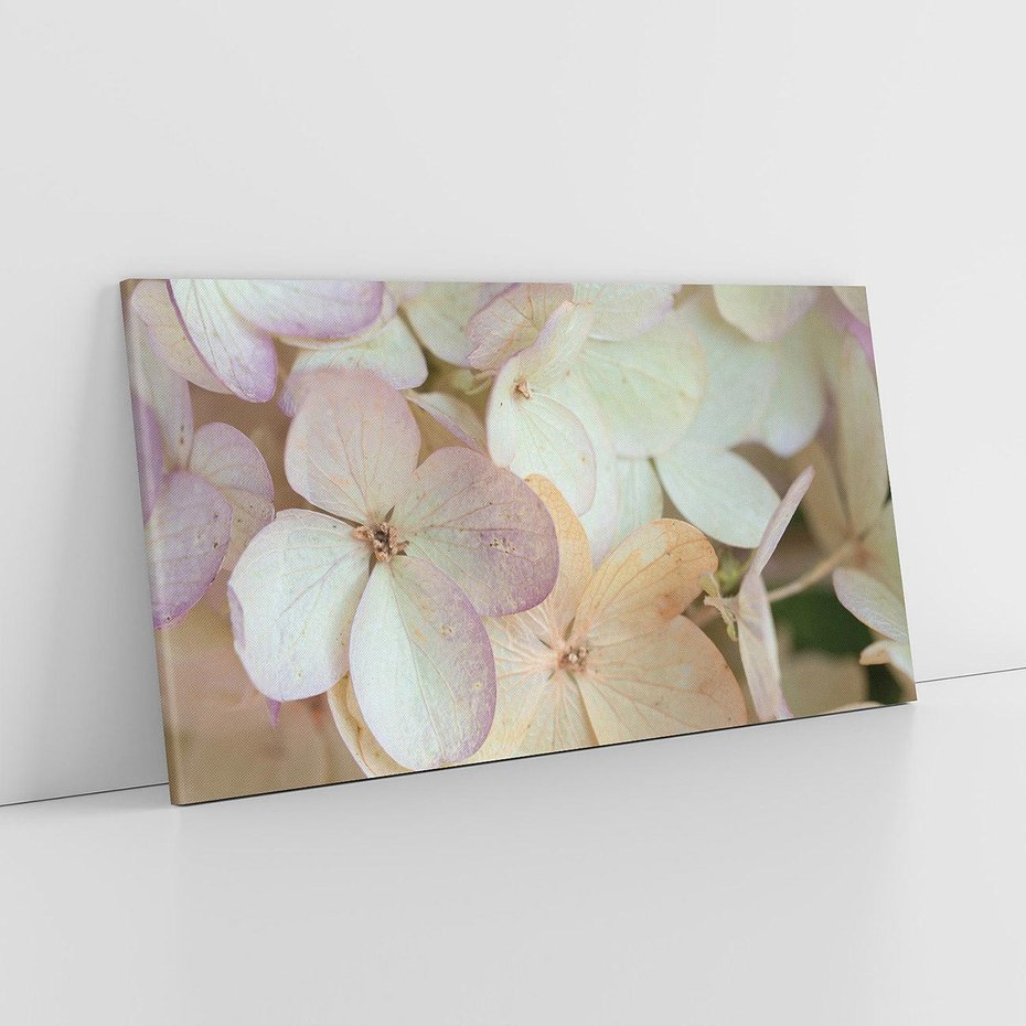 Obraz na płótnie 100x50 - Kwiatowy taniec - kwiaty, hortensje