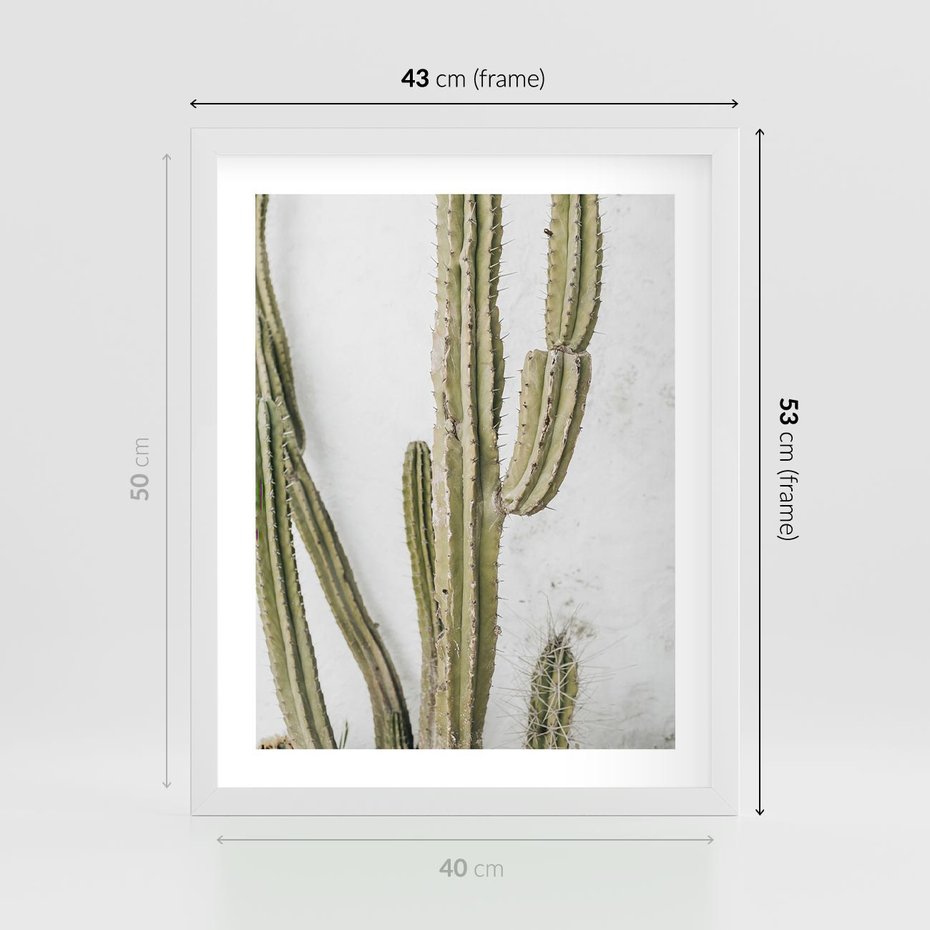 Plakat w ramie 40x50 - Kaktus w Stylu Boho - kaktus, roślina tropikalna - rama biała