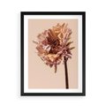 Plakat w ramie 50x70 - Delikatne piękno - suche, kwiaty - rama czarna