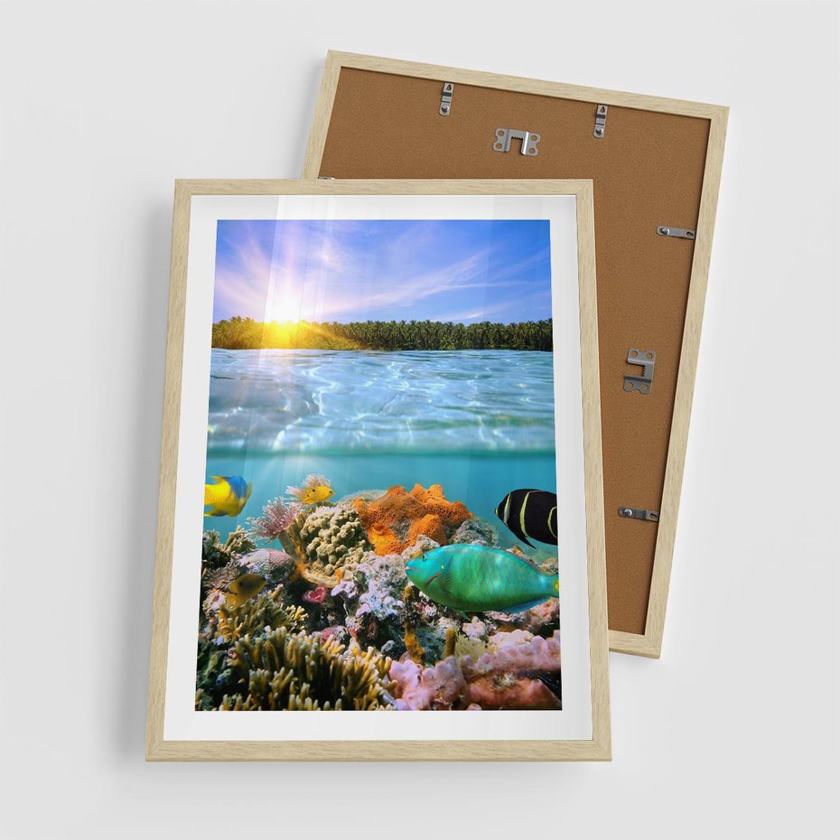 Plakat w ramie 50x70 - Rafa Koralowa - Podwodne Cuda - rafa, koralowa - rama drewno