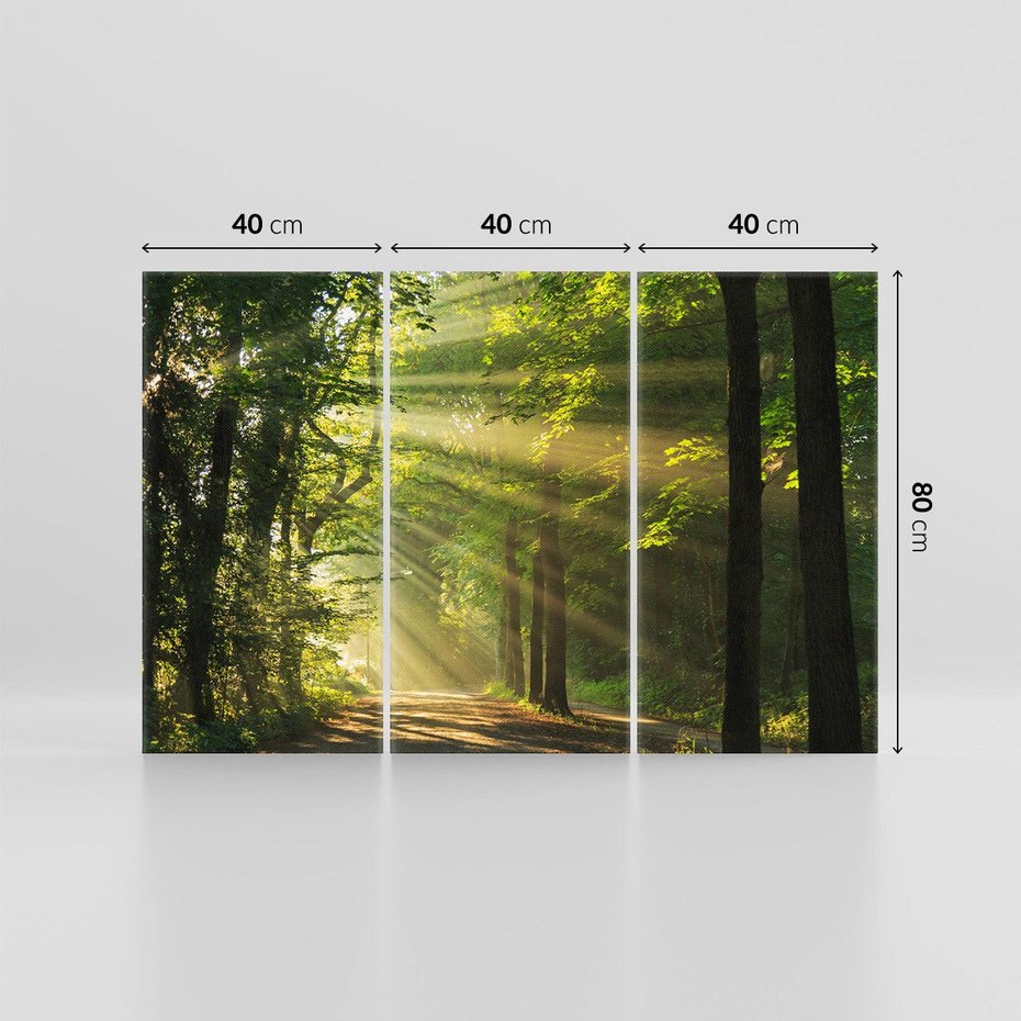 Obraz na płótnie 120x80 - Siła Natury: Las i Drzewa - las, drzewa