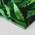 Obraz na płótnie 80x120 - Monstera Liście Fantazja - monstera, liście