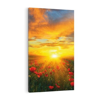 Obraz na płótnie 50x70 - Magia zachodu słońca na łące z makami - łąka, zachód słońca