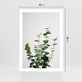 Plakat bez ramy 21x30 - Żywa eukaliptusowa zieleń - eukaliptus, zielone
