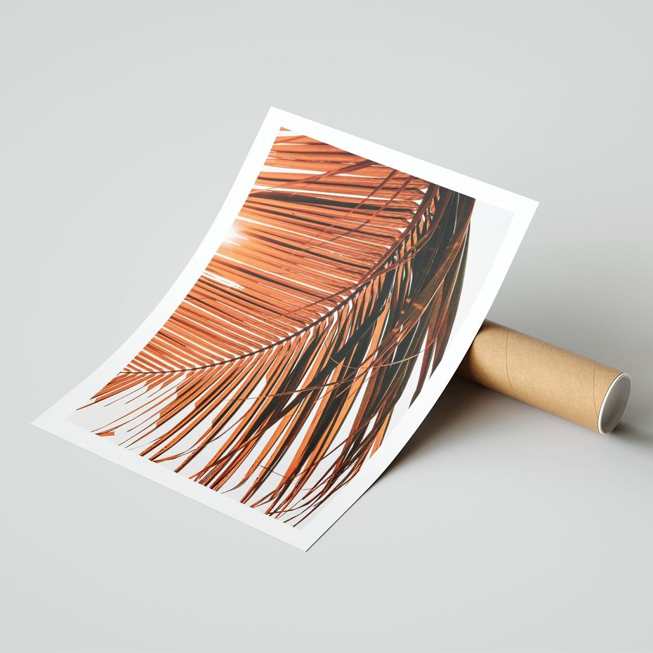 Plakat bez ramy 21x30 - Słońce na Palmie - palma, promienie słońca