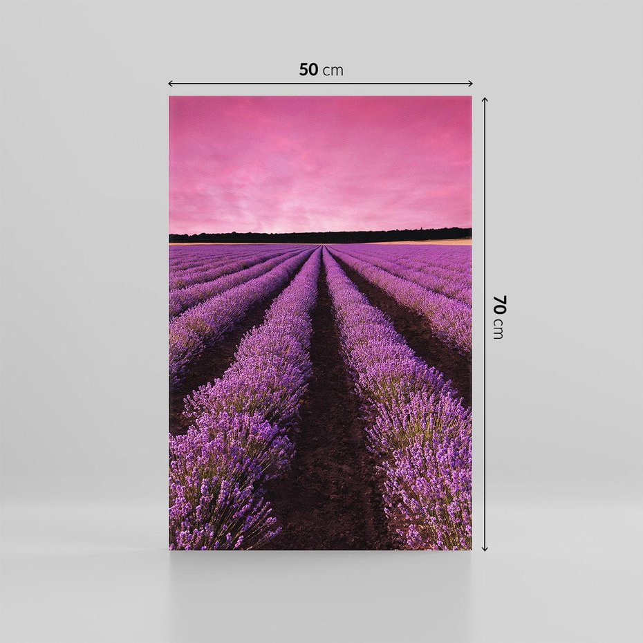 Obraz na płótnie 50x70 - Pola lawendy w pełnym rozkwicie - Lawenda, krajobraz