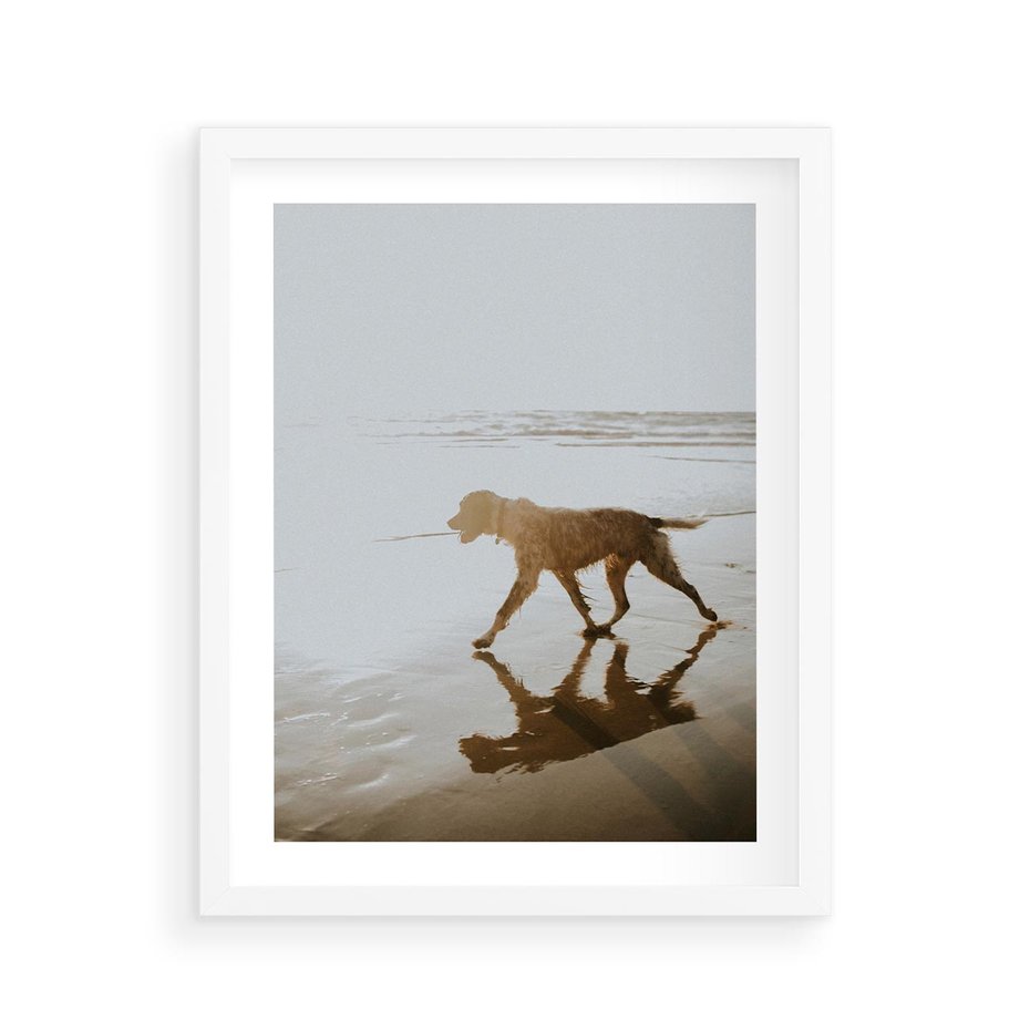 Plakat w ramie 40x50 - Przyjaciel na Plaży - pies, na plaży - rama biała