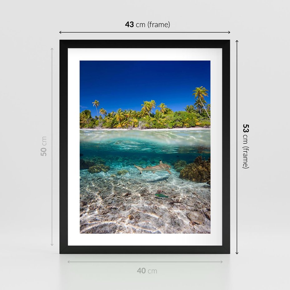 Plakat w ramie 40x50 - Tropikalne Morze i Kolorowa Rafa - tropikalne, morze - rama czarna