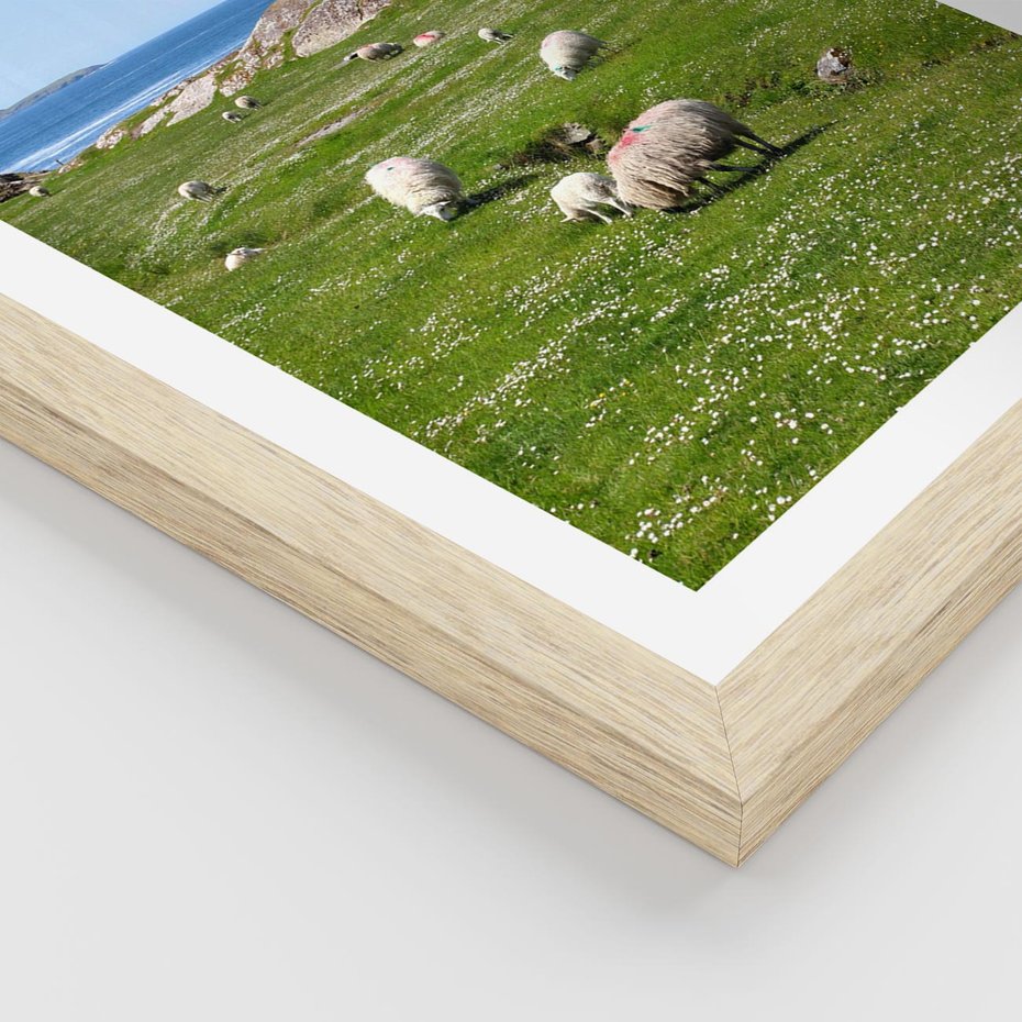 Plakat w ramie 30x40 - Górskie Owce - góry, owce - rama drewno