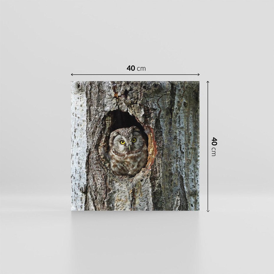 Obraz na płótnie 40x40 - Tajemniczy W świecie Nocy - sowa, dziupla