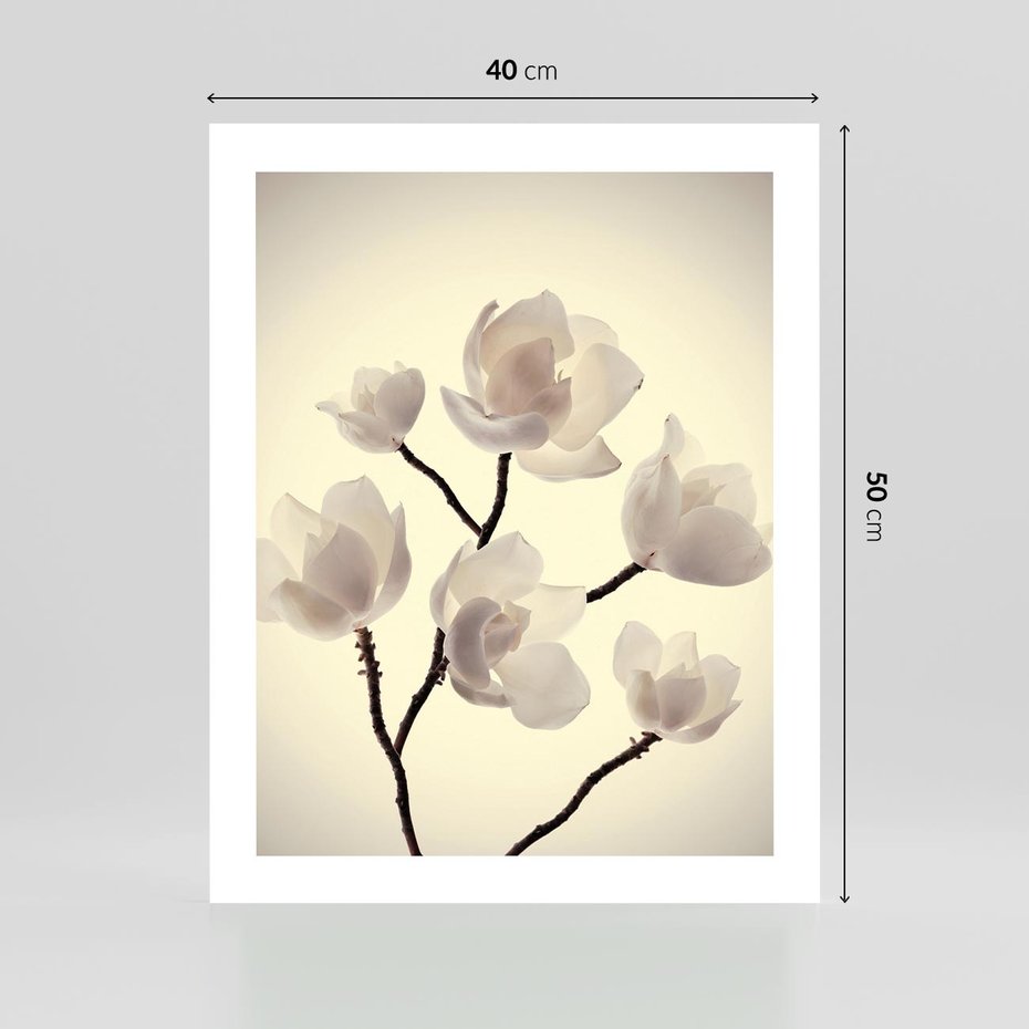 Plakat bez ramy 40x50 - Elegancja Natury - magnolia, białe