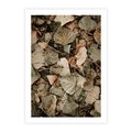 Plakat bez ramy 21x30 - Magia Jesiennych Liści - liście, suche liście