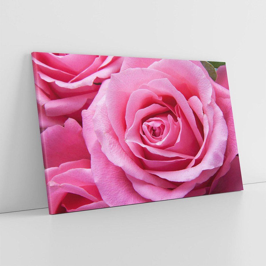 Obraz na płótnie 100x70 - Róża Wspaniałości - róża, kwiat