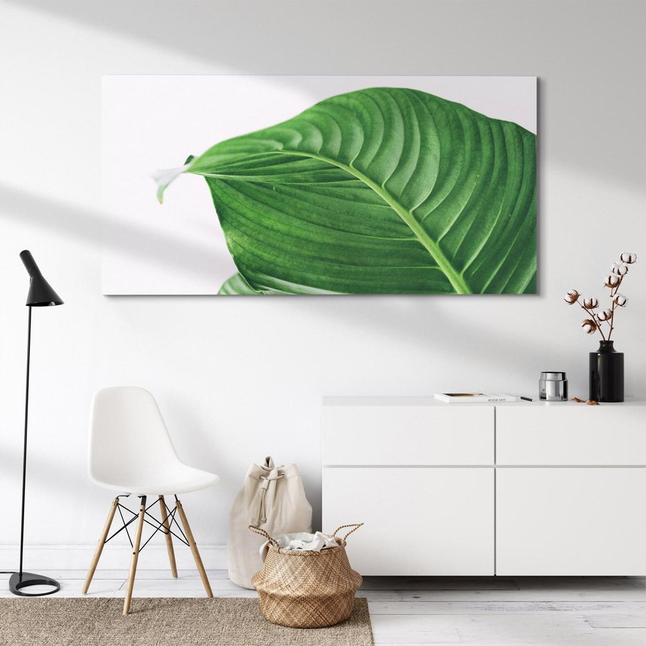 Obraz na płótnie 140x70 - Zielone liście monstery - liście, monstera