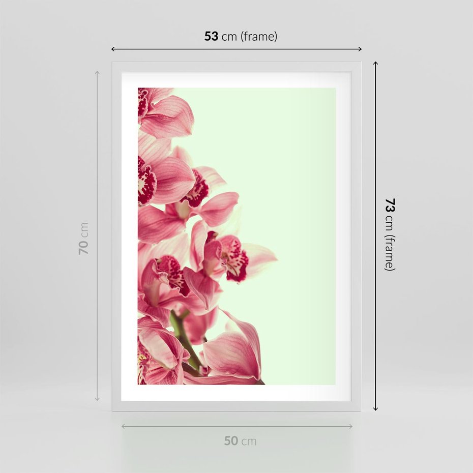 Plakat w ramie 50x70 - Orchidea - delikatne kwiaty - orchidea, kwiaty - rama biała