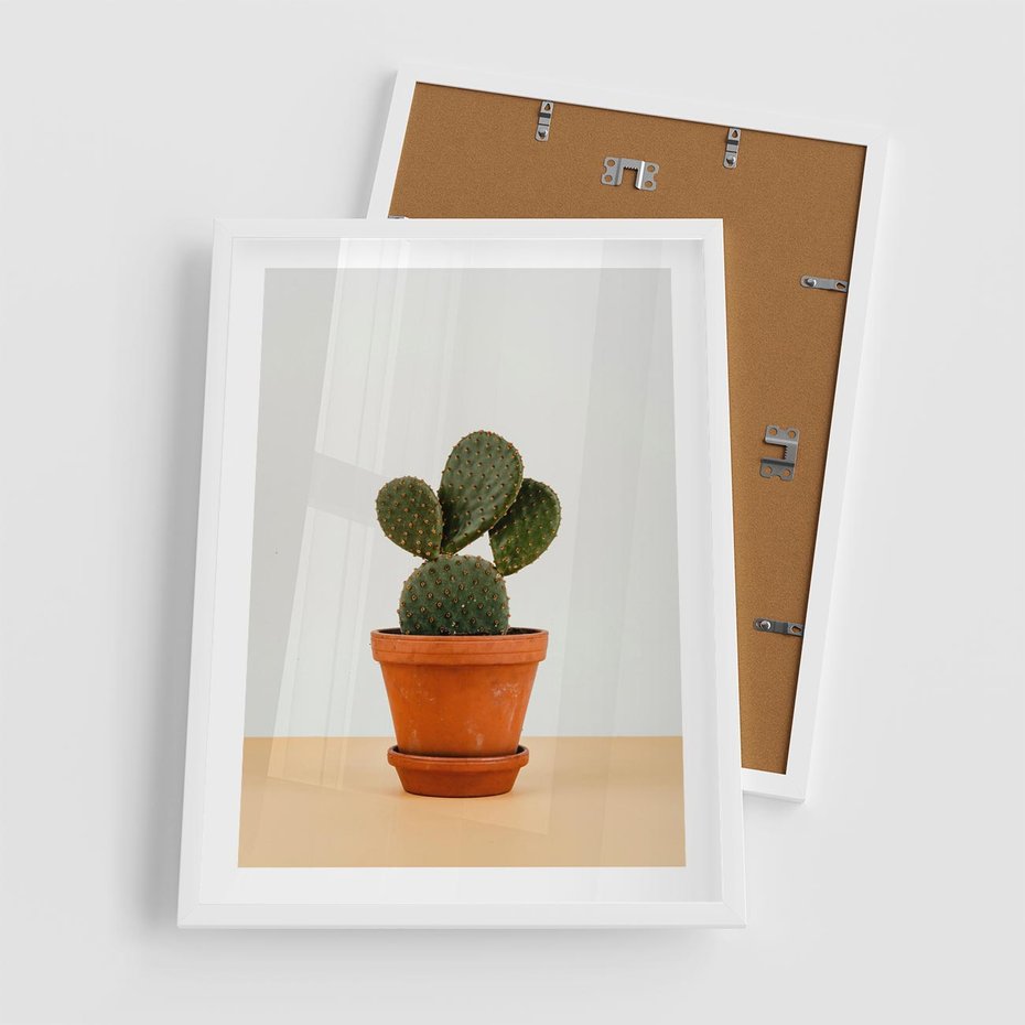 Plakat w ramie 50x70 - Kwiatowy taniec kaktusa - kaktus, kwiat - rama biała