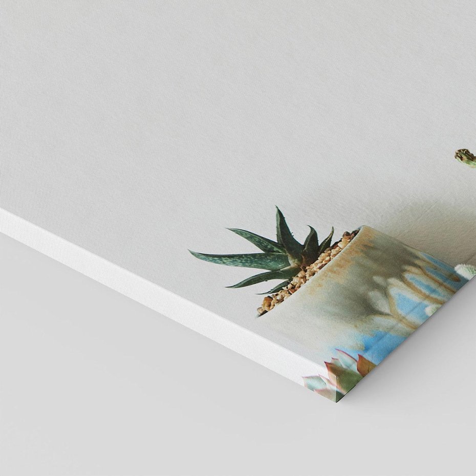 Obraz na płótnie 120x80 - Naturalna Harmonia - kaktusy, liście