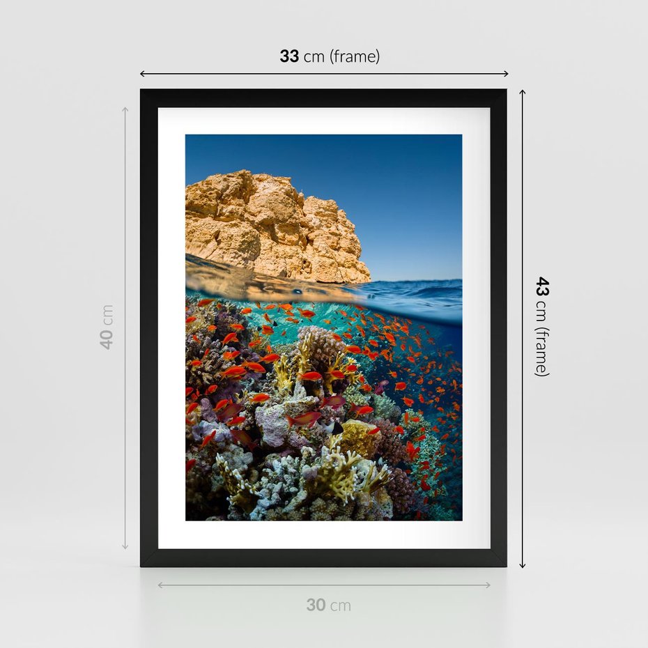 Plakat w ramie 30x40 - Rafa koralowa w oceanie - rafa, koralowa - rama czarna