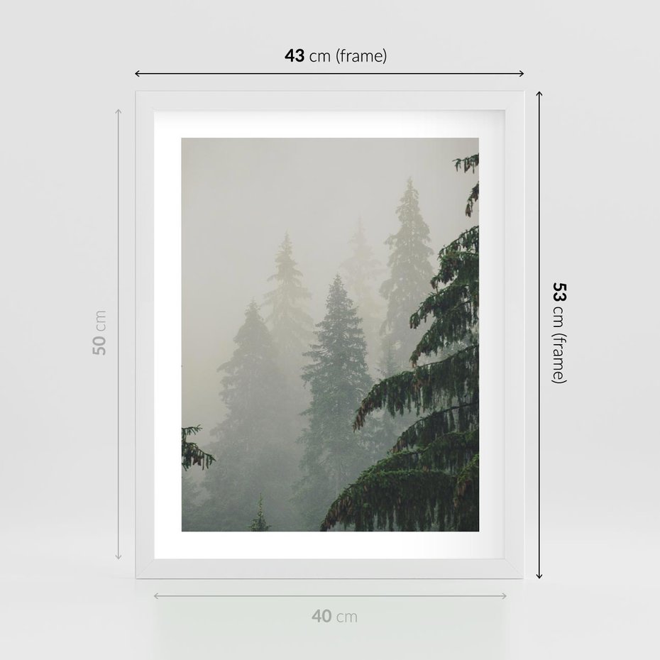 Plakat w ramie 40x50 - Mglista przemiana lasu - las, mgła - rama biała