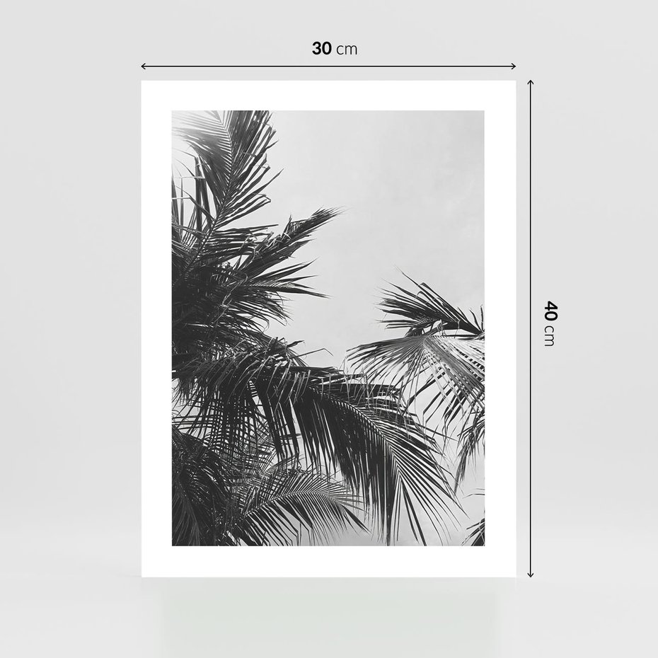 Plakat bez ramy 30x40 - Palmy w Monochromii - palmy, tropikalne palmy