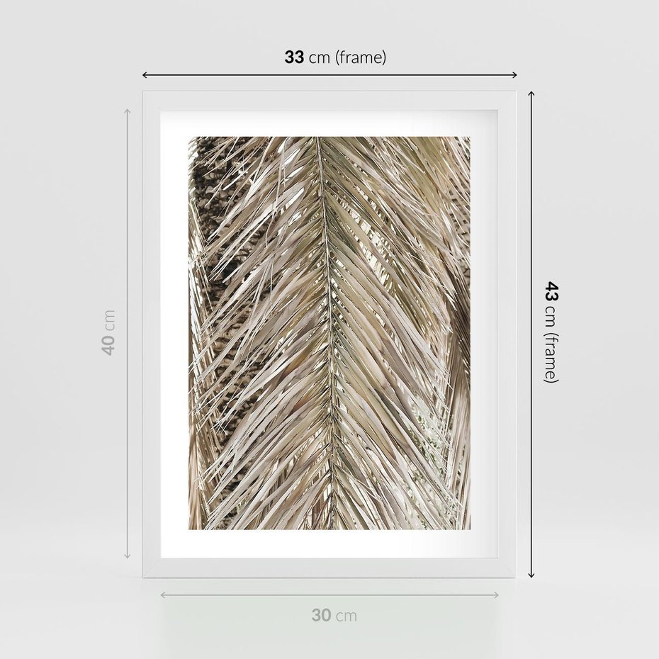 Plakat w ramie 30x40 - Boho Urok Palmy: Zbliżenie Natury - sucha palma, zbliżenie - rama biała