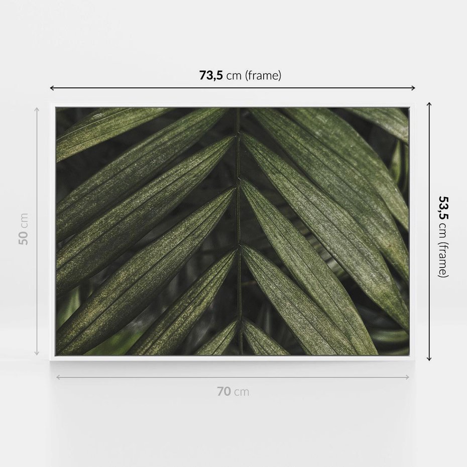 Obraz w ramie 70x50 - W Liściach Ukryte - zdjęcie, fotografia - rama biała