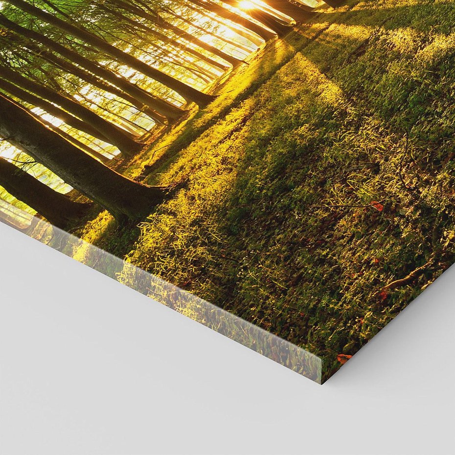 Obraz na płótnie 90x30 - Mistyfikujący urok leśnej głuszy - las, drzewa