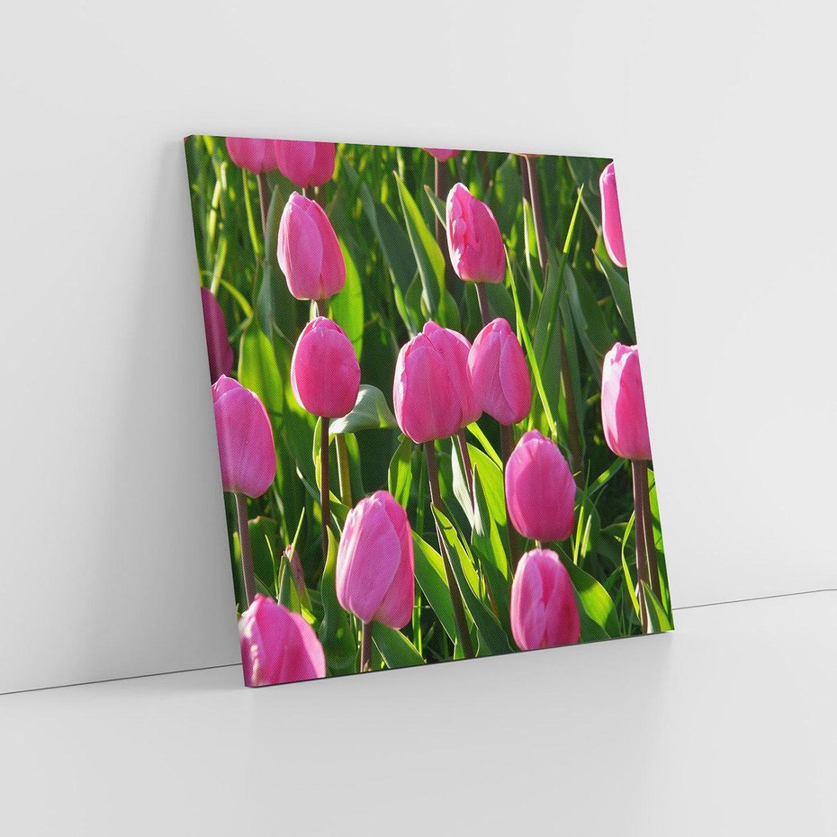 Obraz na płótnie 70x70 - Tulipanowa harmonia - tulipany, kwiaty