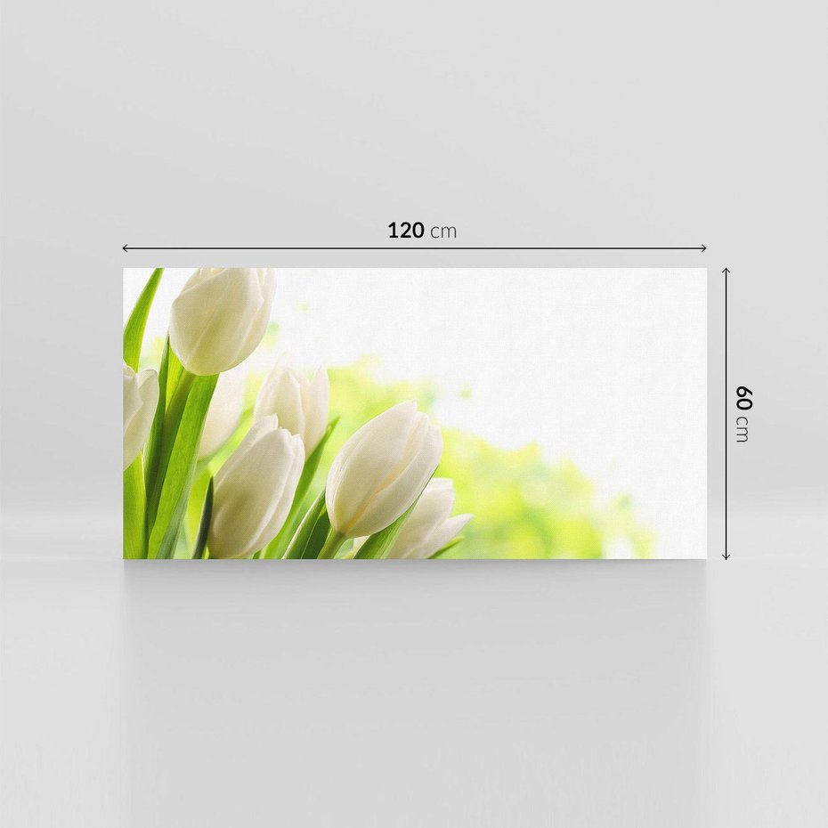 Obraz na płótnie 120x60 - delikatność kwiatów - tulipany, kwiat