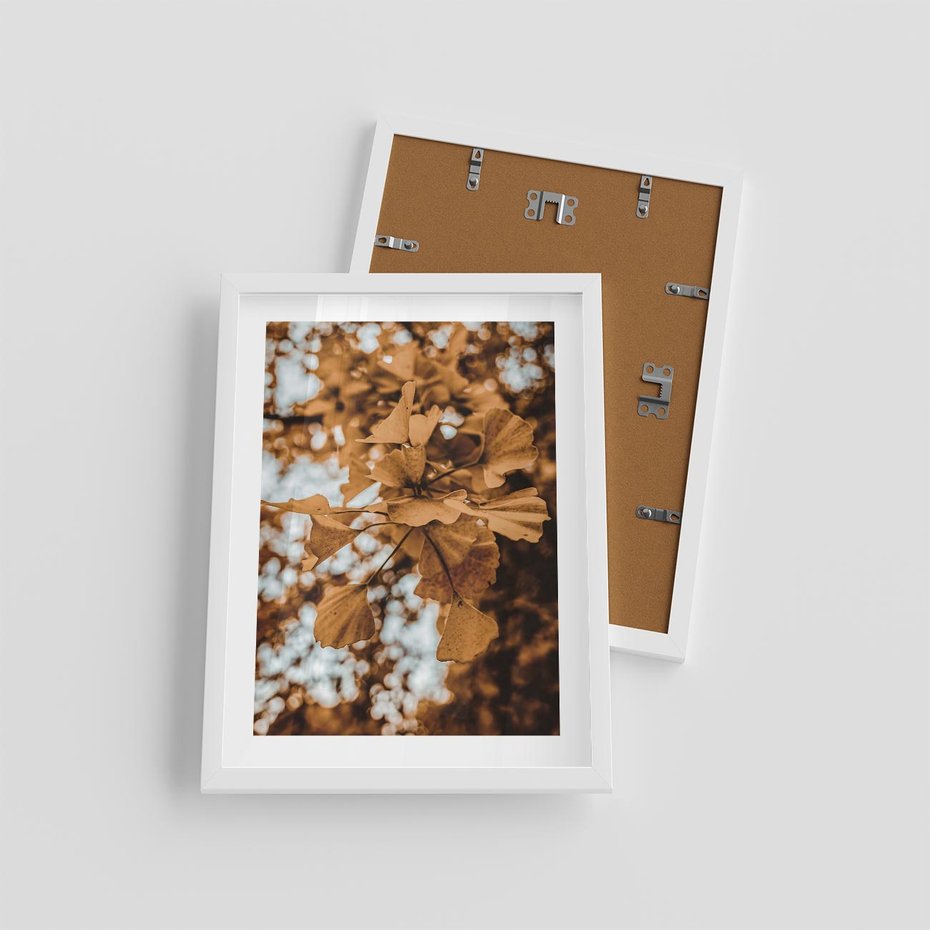 Plakat w ramie 30x40 - Nostalgiczny Miłorząb - miłorząb, liście - rama biała