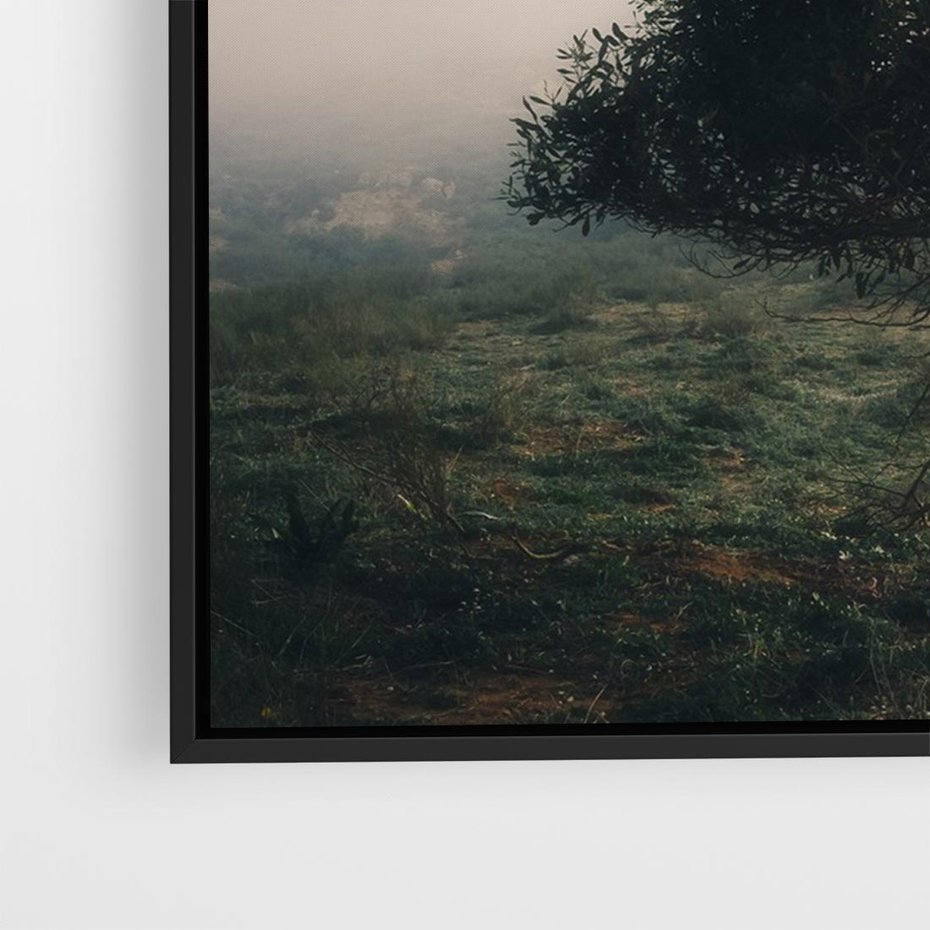 Obraz w ramie 70x50 - Zamglona Prostota - artystyczna fotografia, samotne drzewo na zamglonej łące - rama czarna