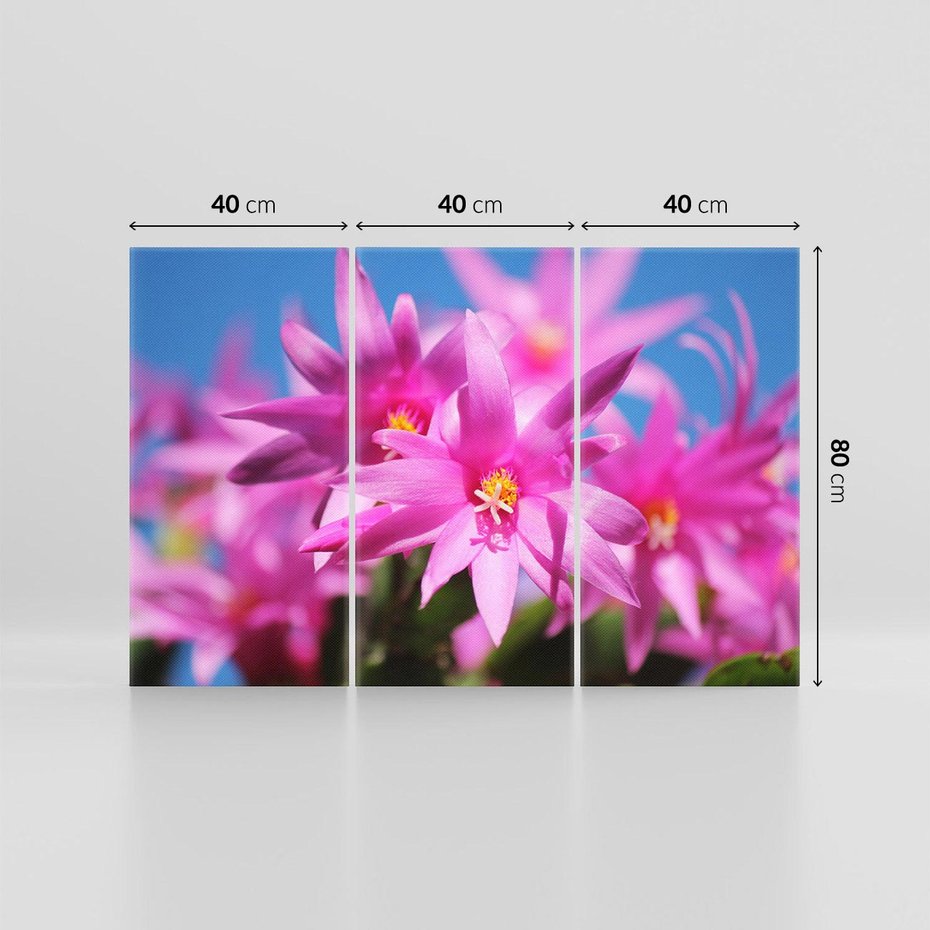 Obraz na płótnie 120x80 - Kwiatowy urok - kwiat, kwiaty