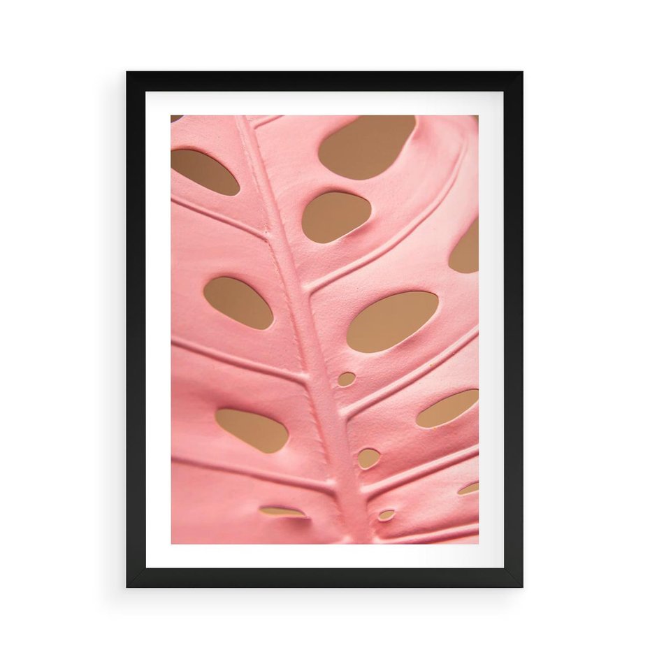 Plakat w ramie 50x70 - Różowy Liść Monstery - różowy liść monstery, nowoczesna fotografia - rama czarna