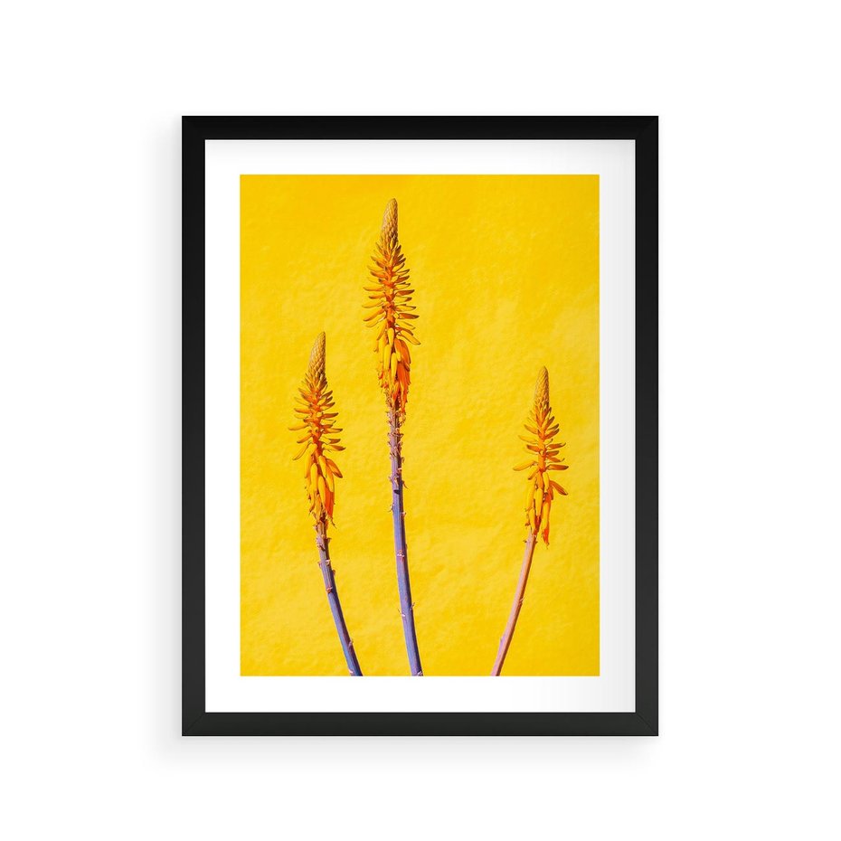 Plakat w ramie 30x40 - Radość Natury - kolor, kwiaty - rama czarna