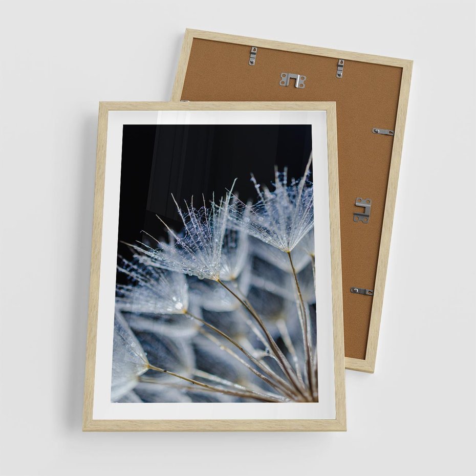 Plakat w ramie 50x70 - Makro piękno dmuchawców - makro, dmuchawce - rama drewno