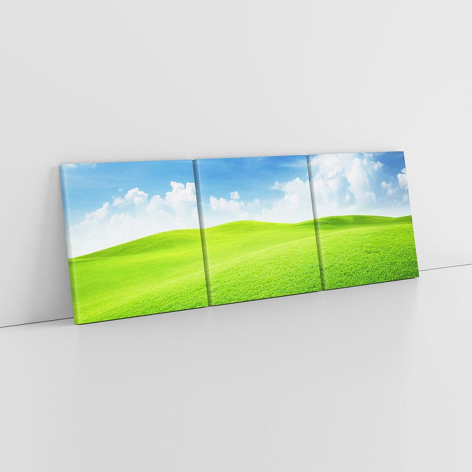 Obraz na płótnie 150x50 - Łąka pod Niebem - łąka, niebo